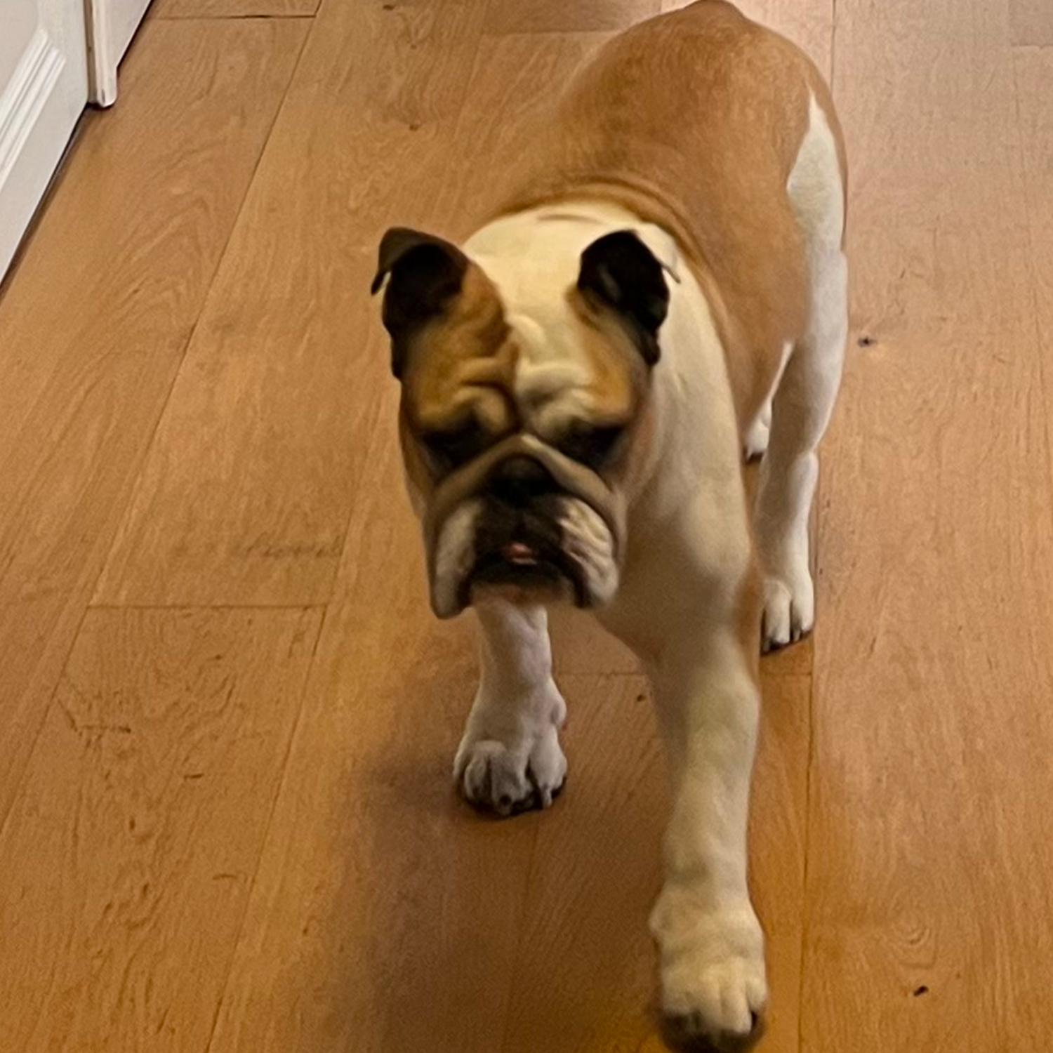 3A-IMMO-A-Propos-Gulum